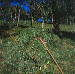 forcone e rastrello-taglio foraggio