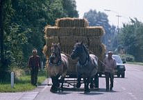 trasporto di balle paglia con cavalli e carro