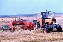 mietitura del grano-1987