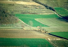 campagna e palude-autunnale