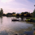Paesaggio: attracco, fiume, bosco
