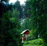 Casa: casetta rossa in legno nel bosco