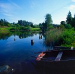 Paesaggio: darsena, lago, bosco