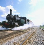 Museo all'aperto: locomotive a vapore funzionanti