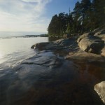 Paesaggio: mare, rocce, bosco