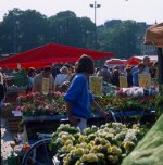 Persone: ragazzo con bicicletta, mercato