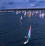 Paesaggio: moltitudine di windsurf, gara