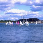 Paesaggio: moltitudine di windsurf, gara