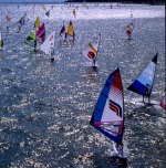 Paesaggio: moltitudine di windsurf, gara