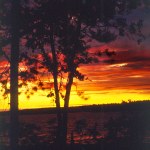 Tramonto: profilo alberi, cielo giallo rosso viola