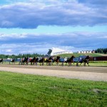 Ippodromo: corsa di cavalli