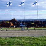 Ippodromo: gara di trotto