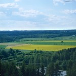 Paesaggio: bosco, prati, bosco, cielo