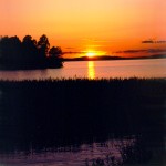 Paesaggio: tramonto: erbe acquatiche, lago, isola, profilo, sole, cielo rosso