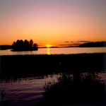 Paesaggio: tramonto: erbe acquatiche, lago, isola, profilo, sole, cielo rosso