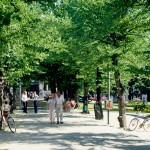 Giardini: persone: passeggiata sul viale