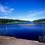 Paesaggio: boschi, lago, tronchi sull'acqua, cielo