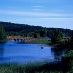 Paesaggio: boschi, lago, cielo